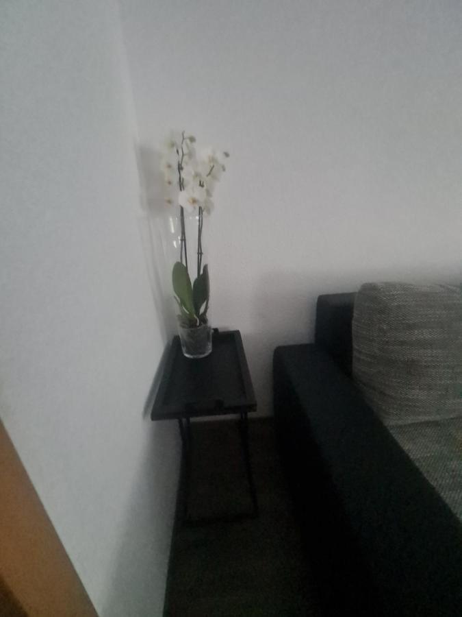 Paula Haus Trier Apartment Exterior foto